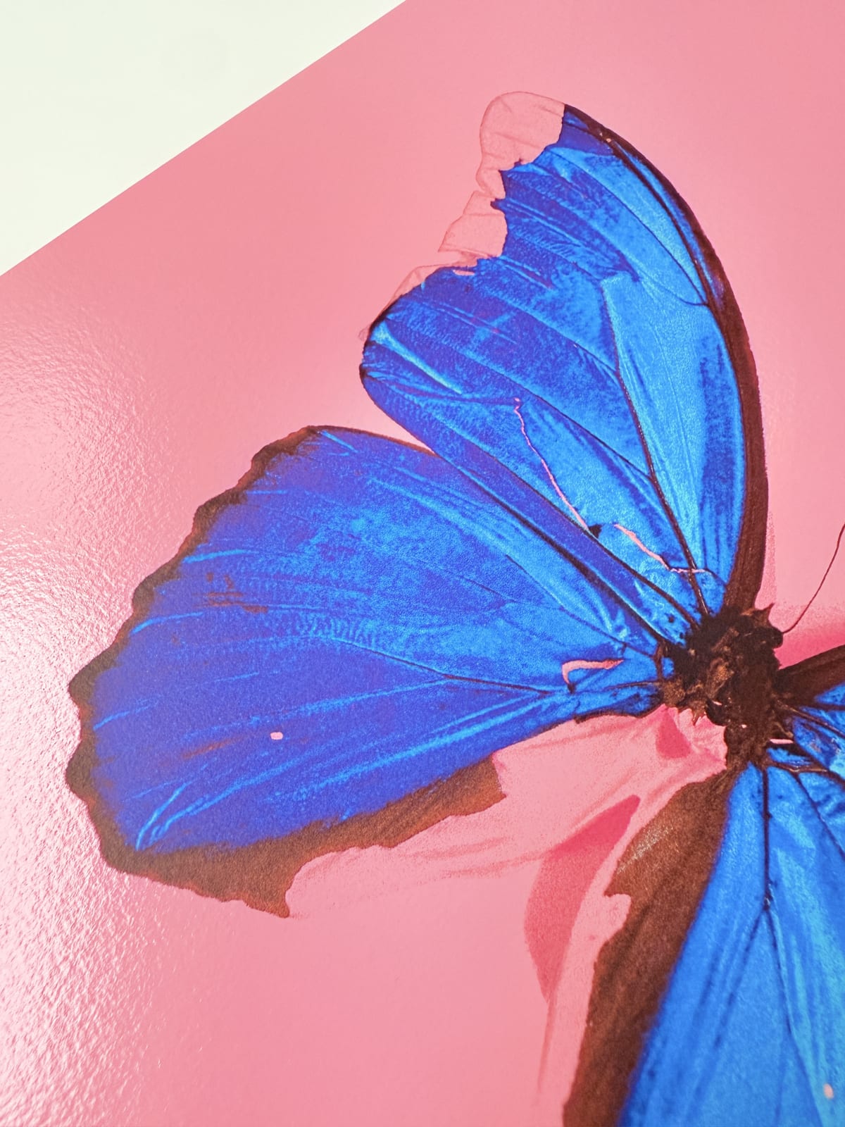 Damien Hirst, 'BLUE BUTTERFLY' (from 'In The Darkest Hour There May Be Light'), 2006