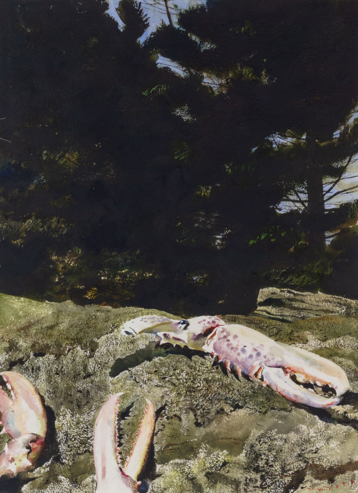 Jamie Wyeth (b. 1946) Feeding Ledge, 1992 Signed at lower right: J. Wyeth Watercolor on paper 28 x 20½ inches 71.1 x 52.1 cm © Jamie Wyeth / Artists Rights Society (ARS), New York