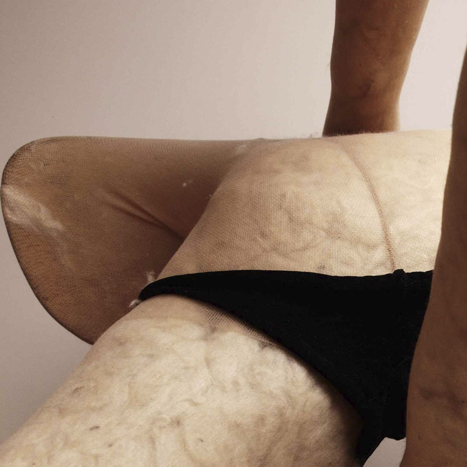 Sarah Lucas, Pepsi & Cocky #8, 2009