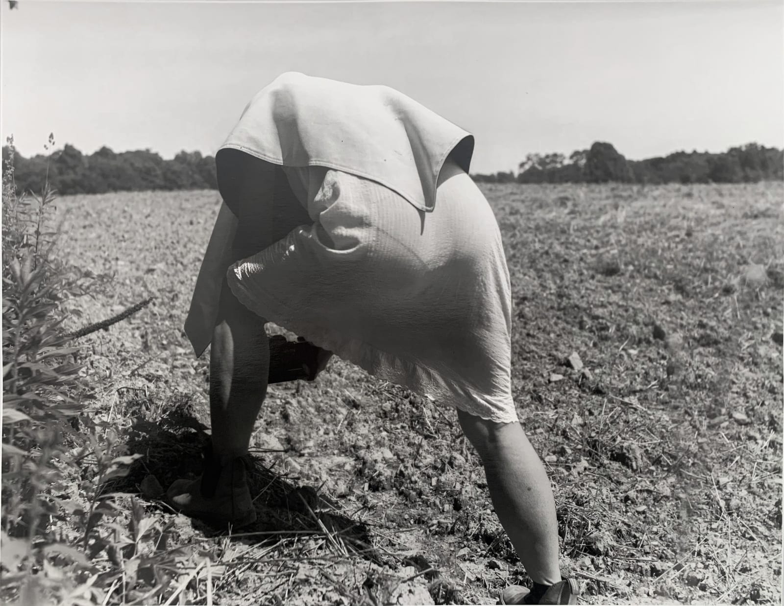 Raymond Meeks, Givenness 4031, 2022