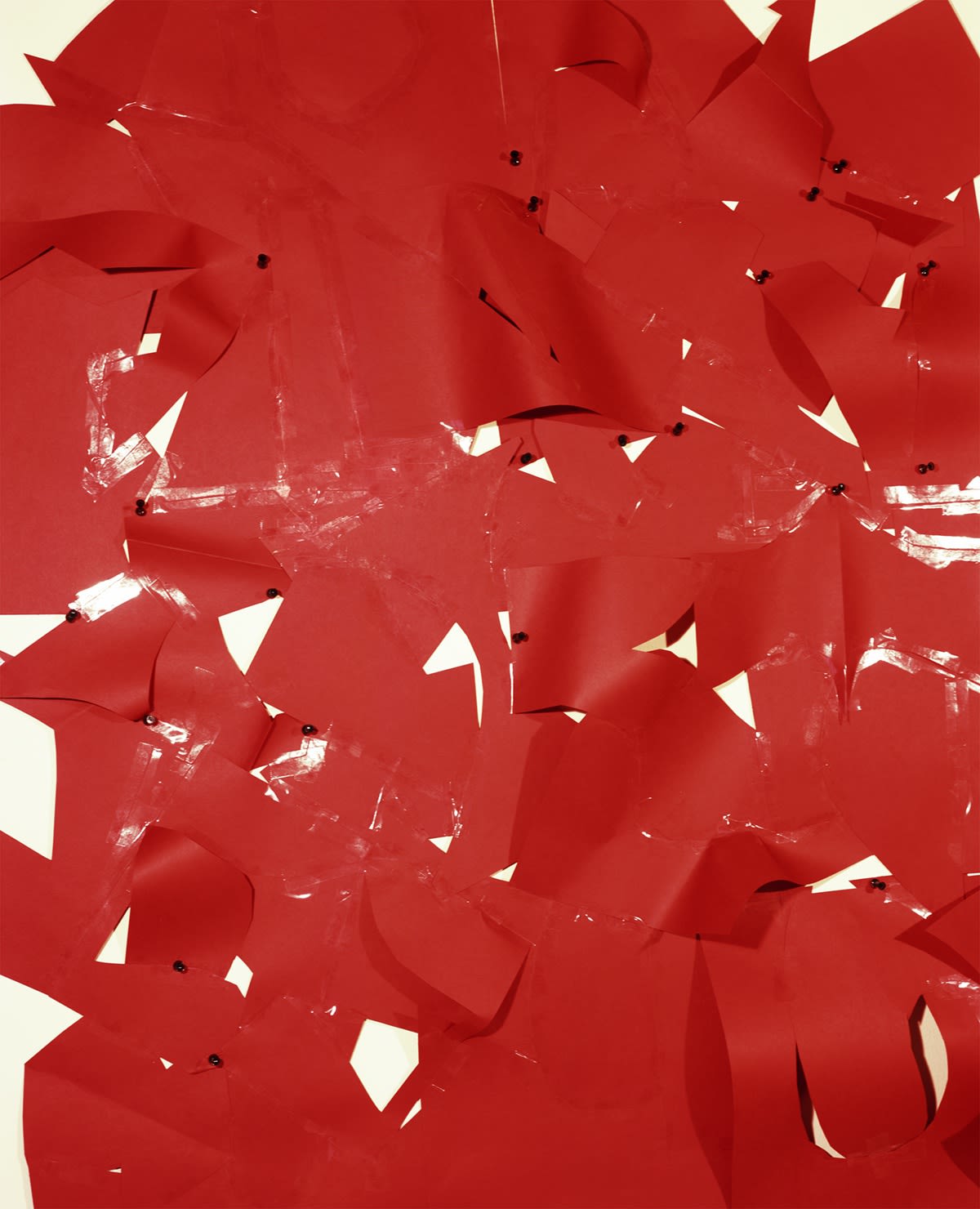 Whitney Hubbs, Other Picture #2 (Swaddled Organs), 2018