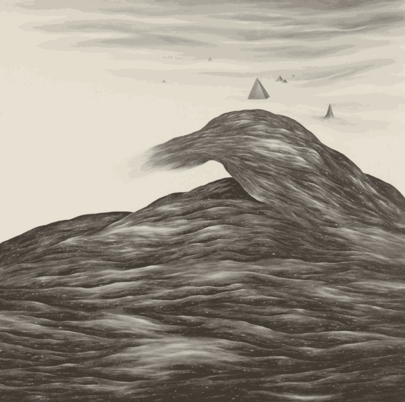 Robyn O'Neil, Some Things You Said, 2009