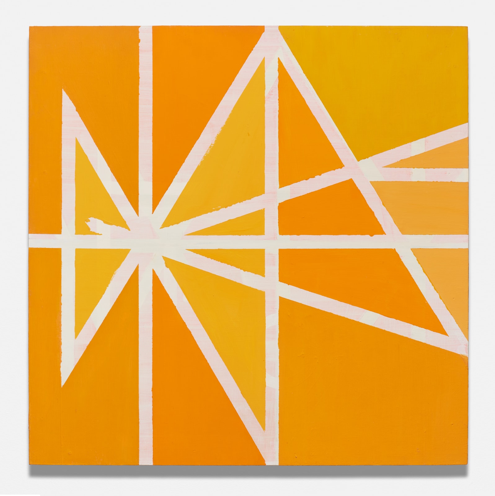 Dorothy Antoinette (Toni) LaSelle, Shadow of Seagull Flying, 1968
