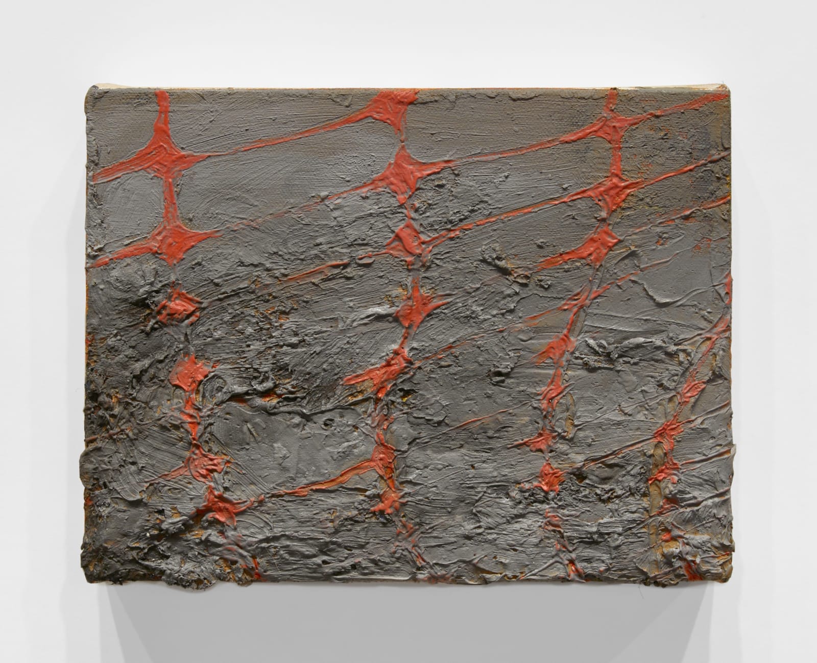 Charis Ammon, Mesh and Mud, 2022