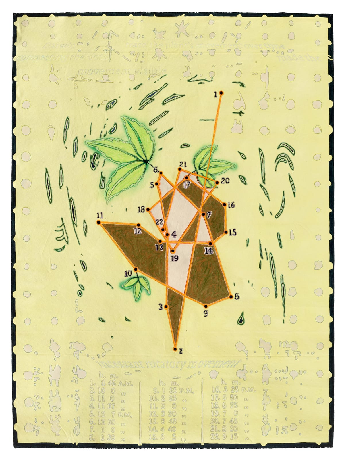 Robert Ruello, Darwin's Diagram, #1, 2023