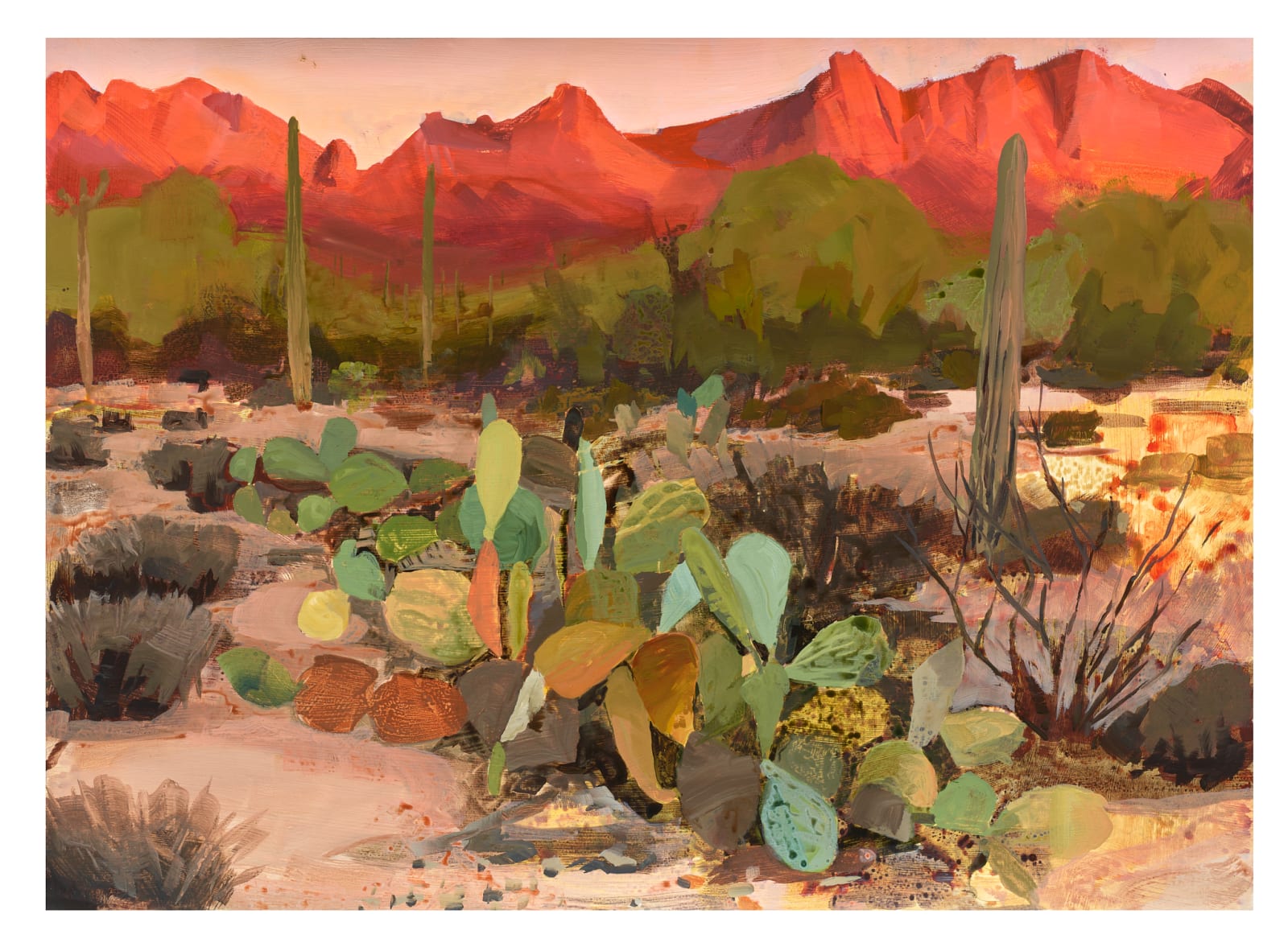 Kristin Musgnug, Prickly Pears at Sunset, 2025