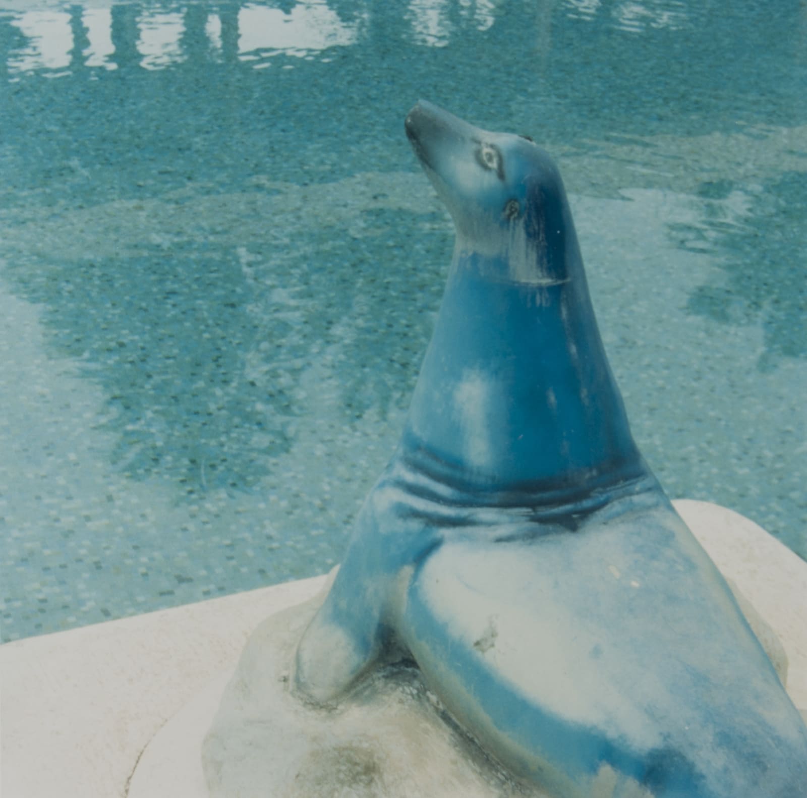 Amy Blakemore, Seal, 2013