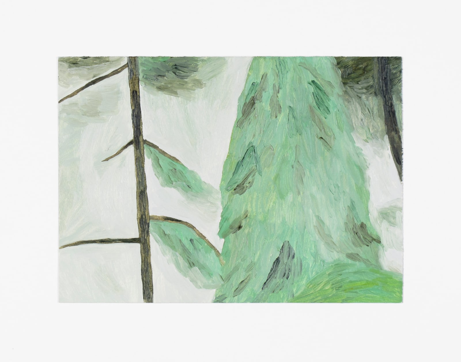 Yuko Murata, untitled, 2013