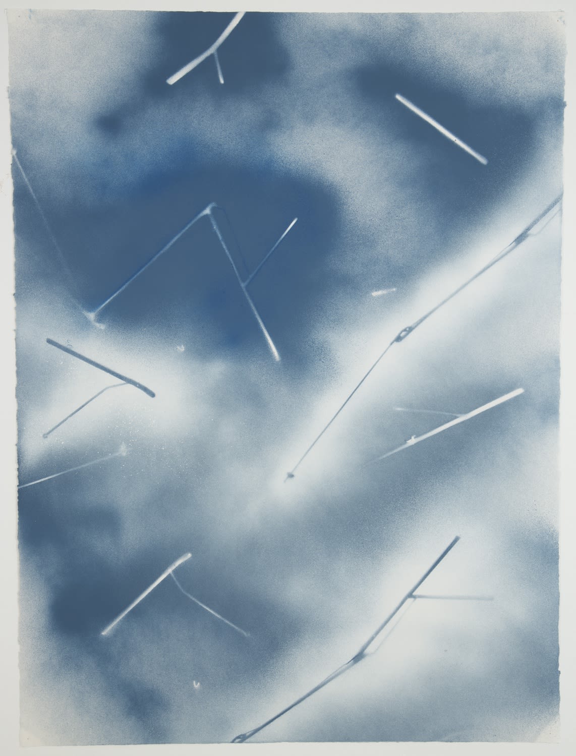 Demetrius Oliver, Globule, 2015