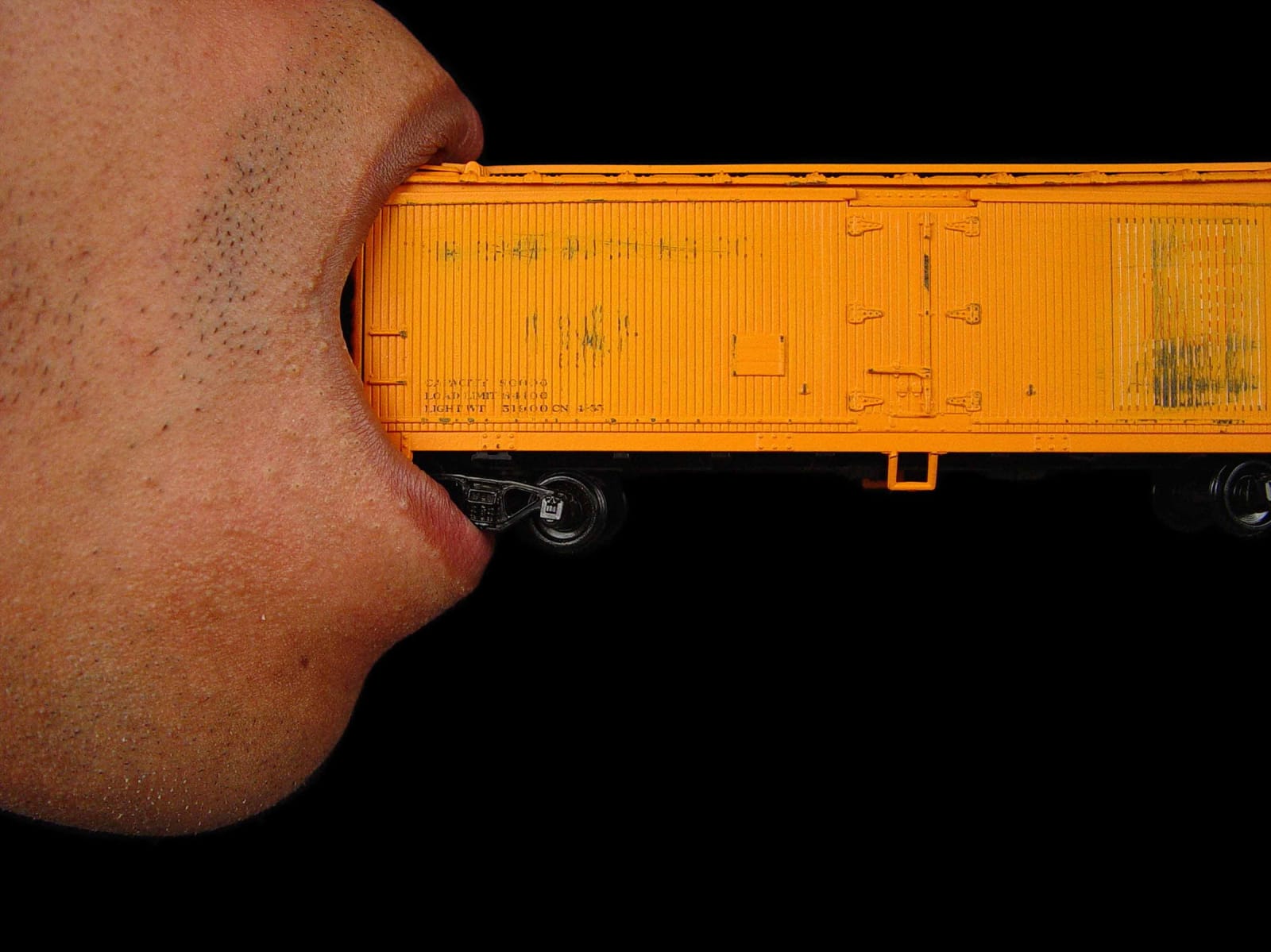 Demetrius Oliver, Tunnel, 2004