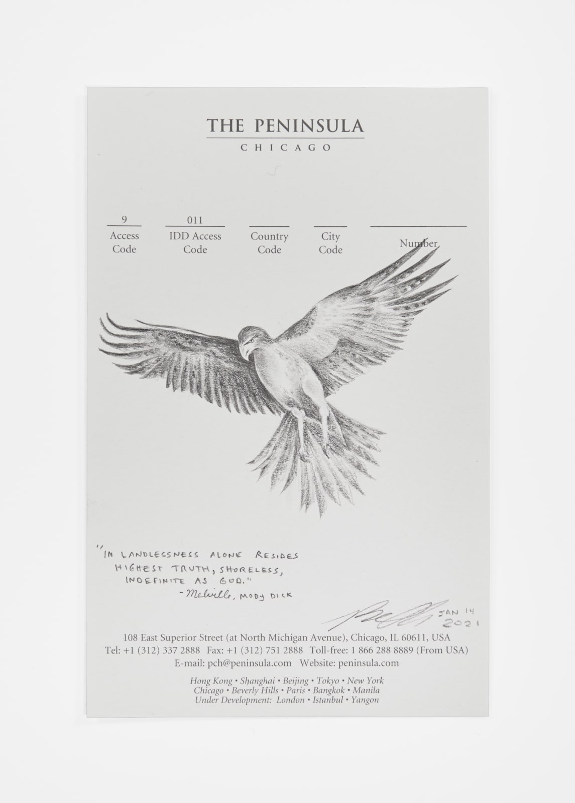 Robyn O'Neil, The Peninsula - Eagle, 2021