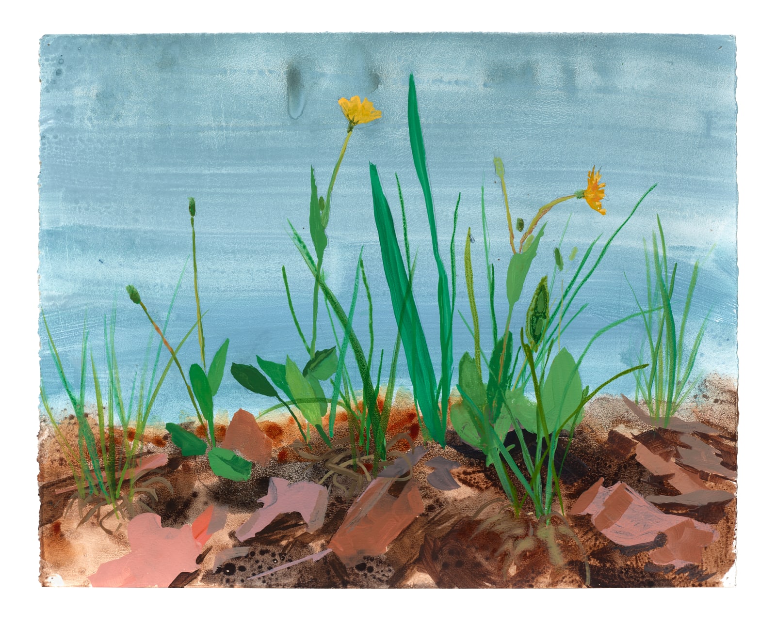 Kristin Musgnug, Dwarf Dandelion with Grasses, 2022