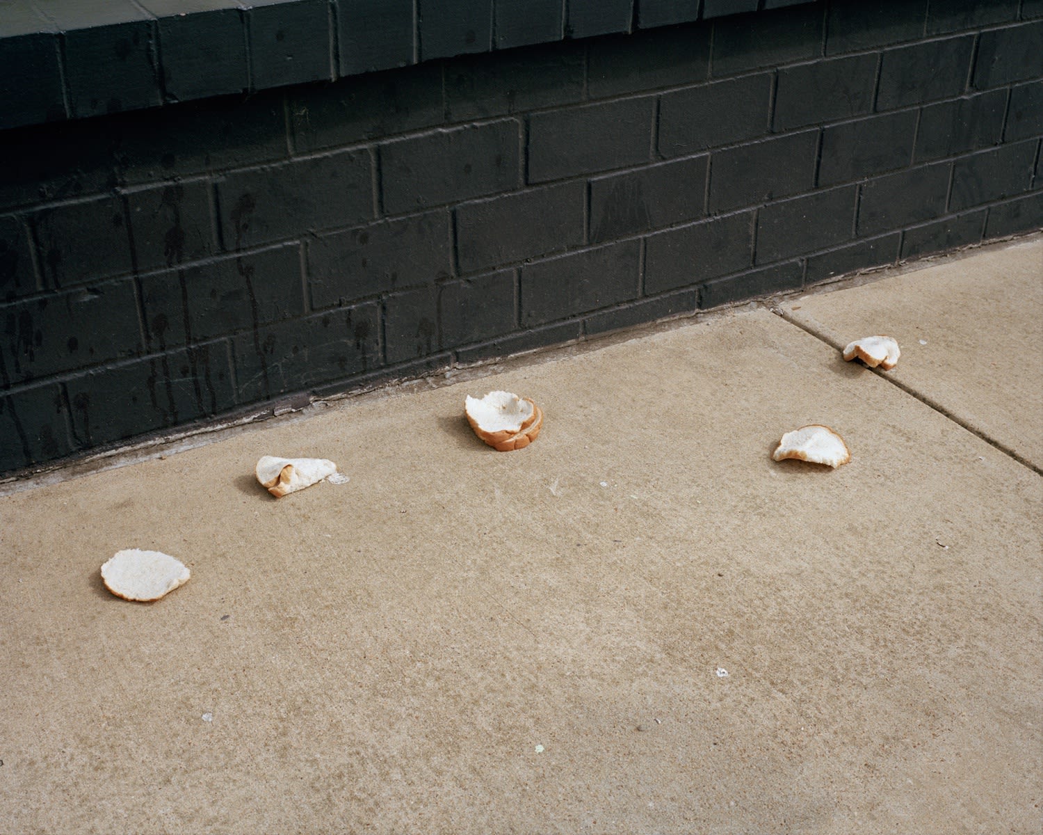 Shane Lavalette, Wonder Bread, 2011