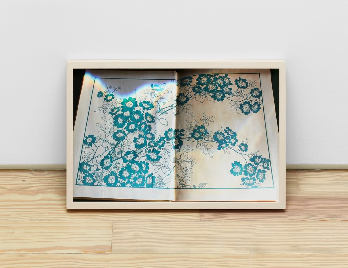 Katrina Moorhead, A book about old colours, 2011