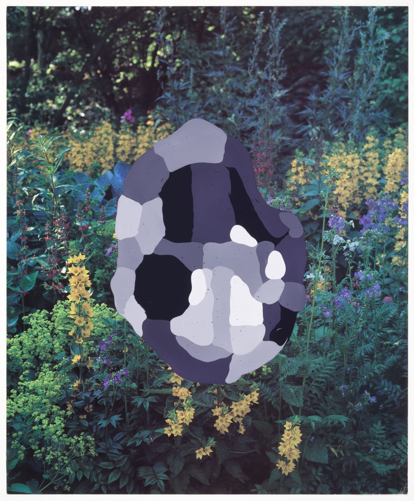 Jim Richard, Mellow Modern, 2016