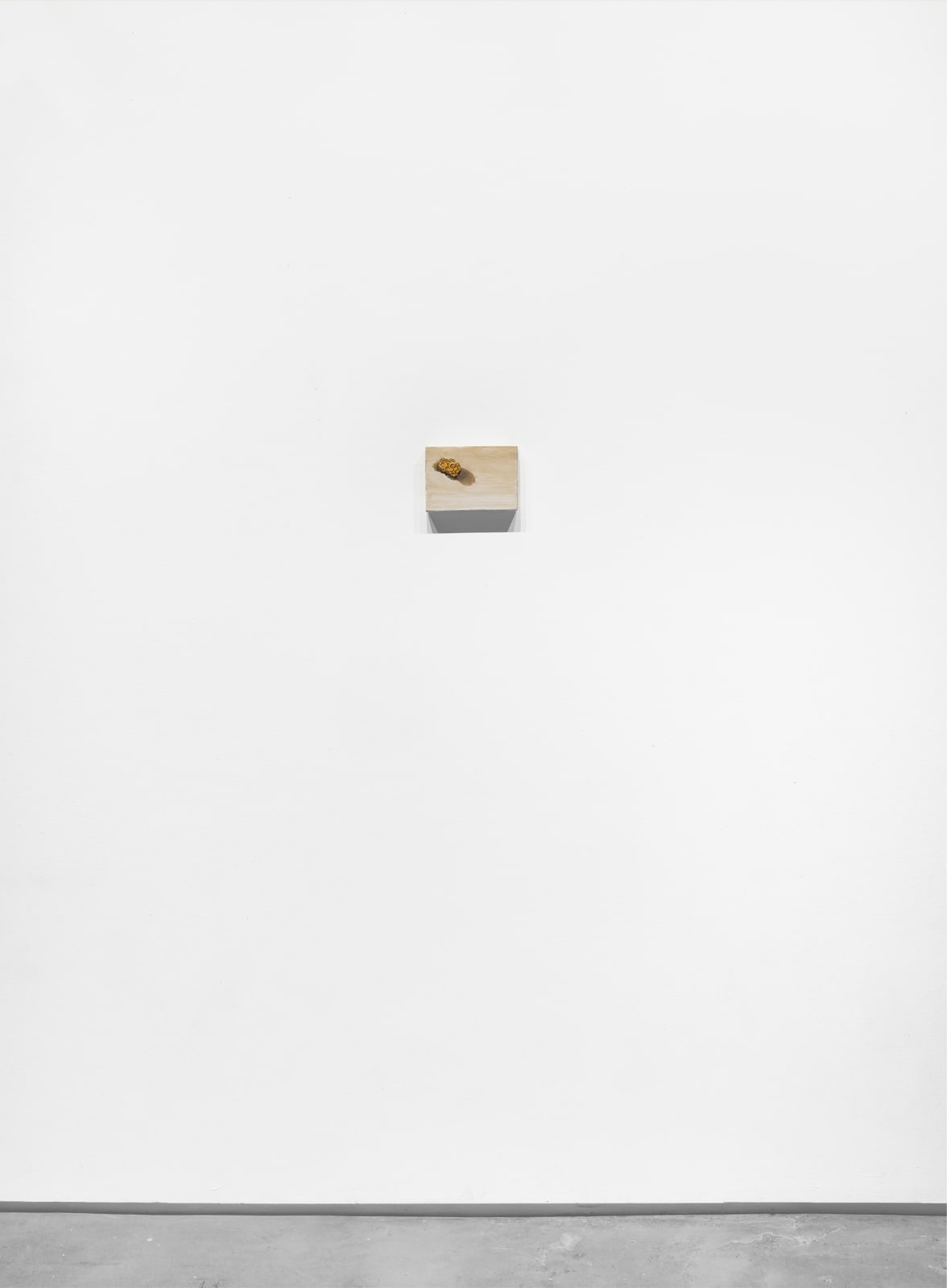 Charis Ammon, Gold Nugget Still Life, 2021