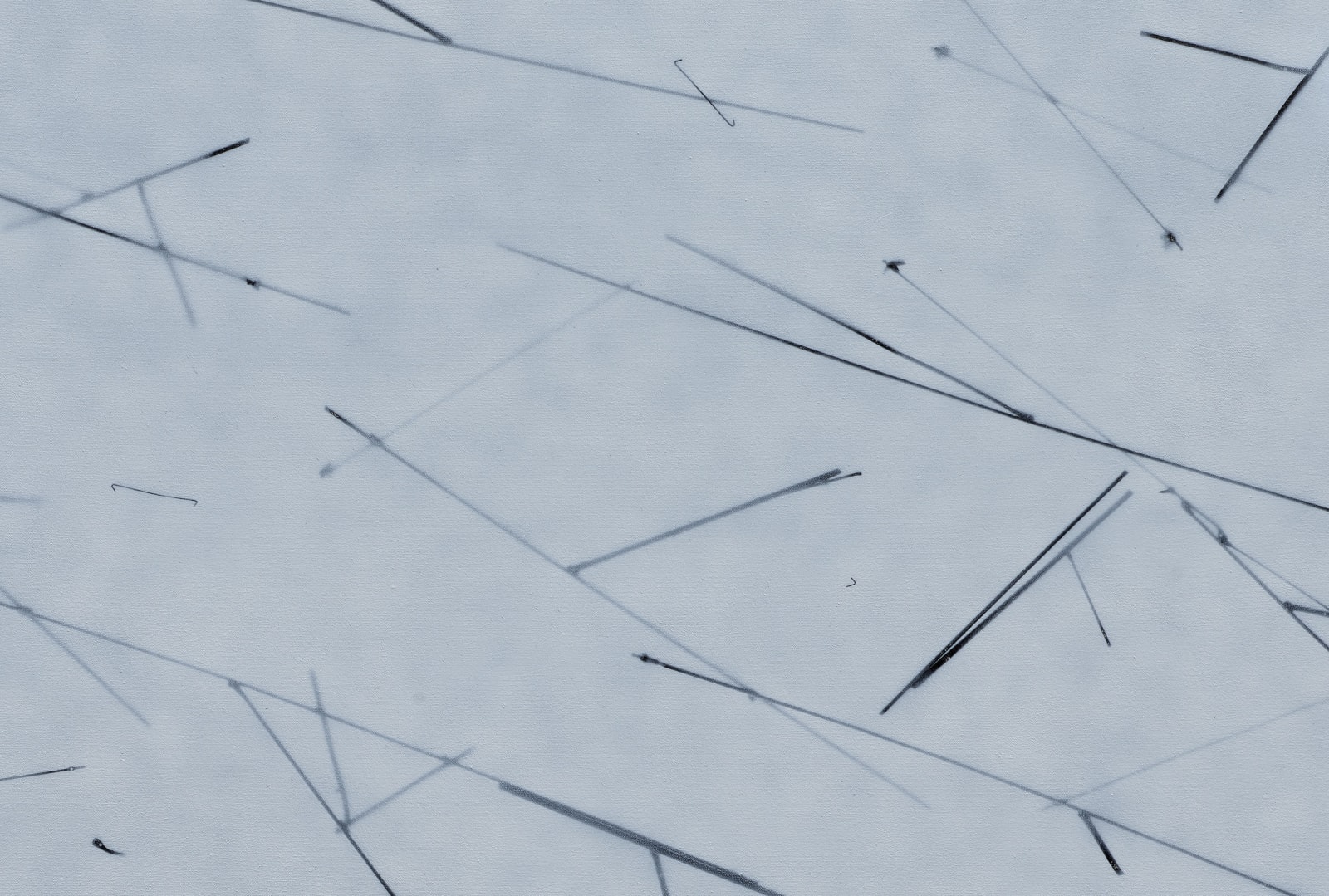 Demetrius Oliver, Wind, 2023