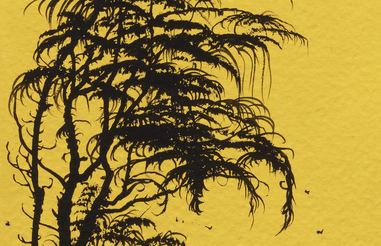 Darren Waterston, Reverie Study no. 5, 2025