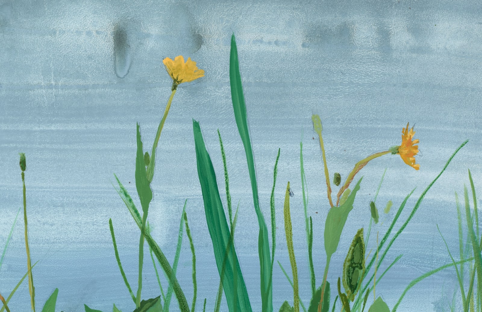 Kristin Musgnug, Dwarf Dandelion with Grasses, 2022