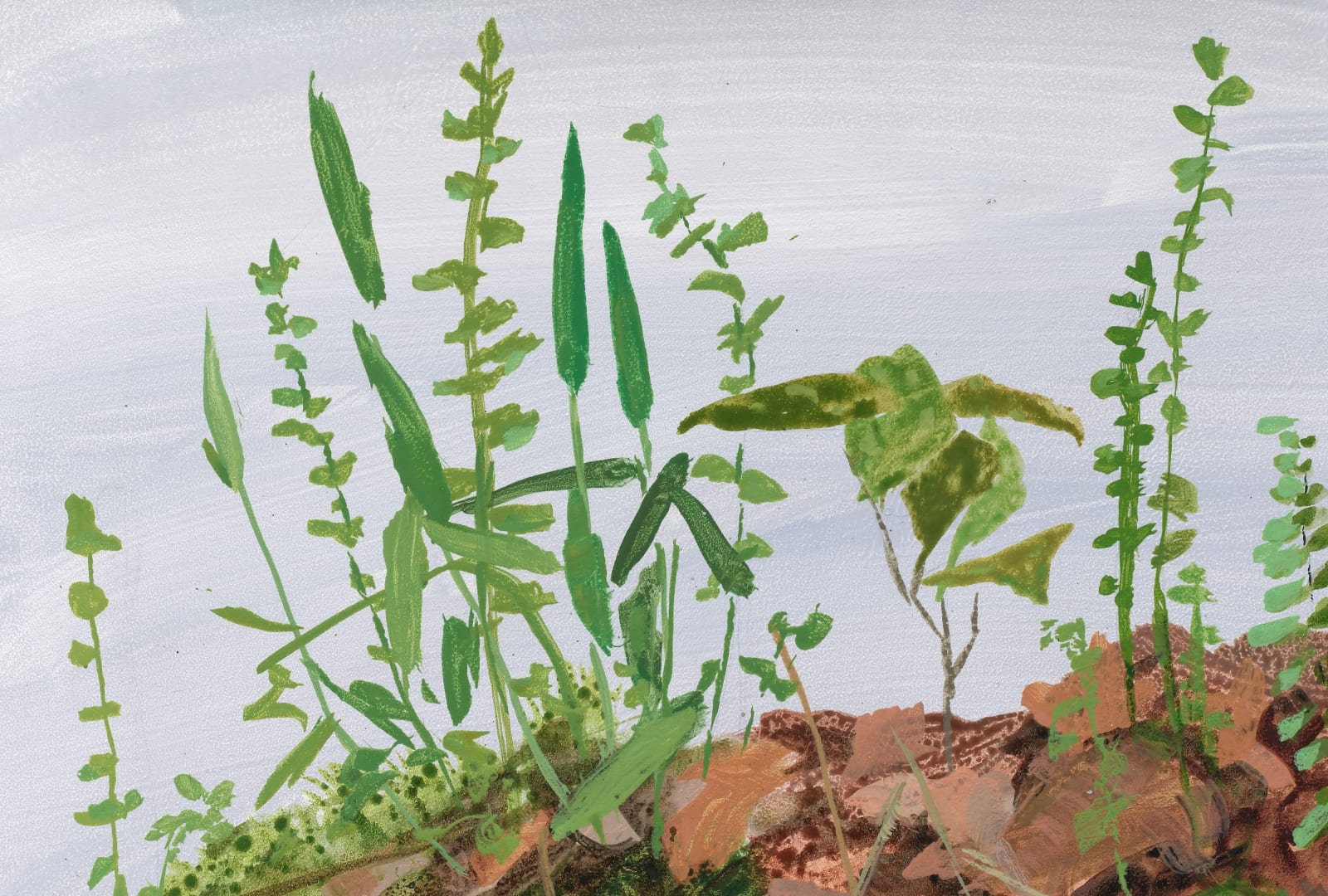 Kristin Musgnug, Study for Venus' Looking Glass, Briar, and Ebony Spleenwort, 2022