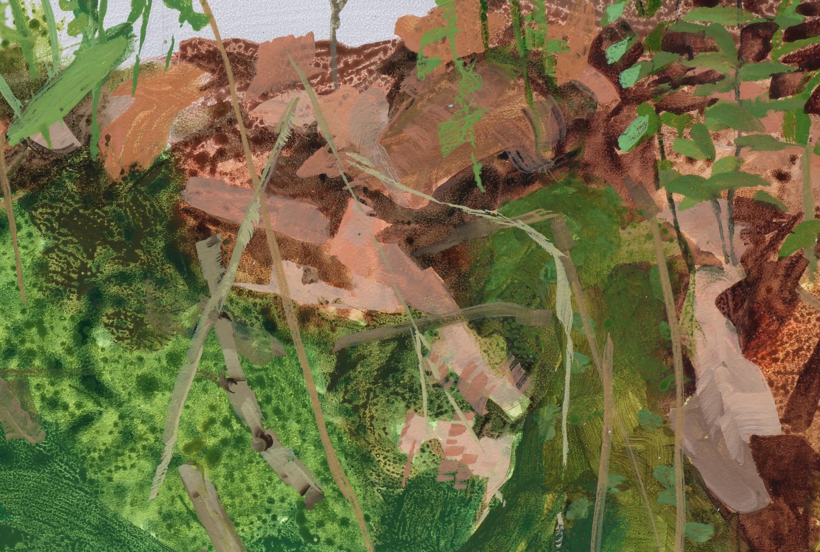 Kristin Musgnug, Study for Venus' Looking Glass, Briar, and Ebony Spleenwort, 2022