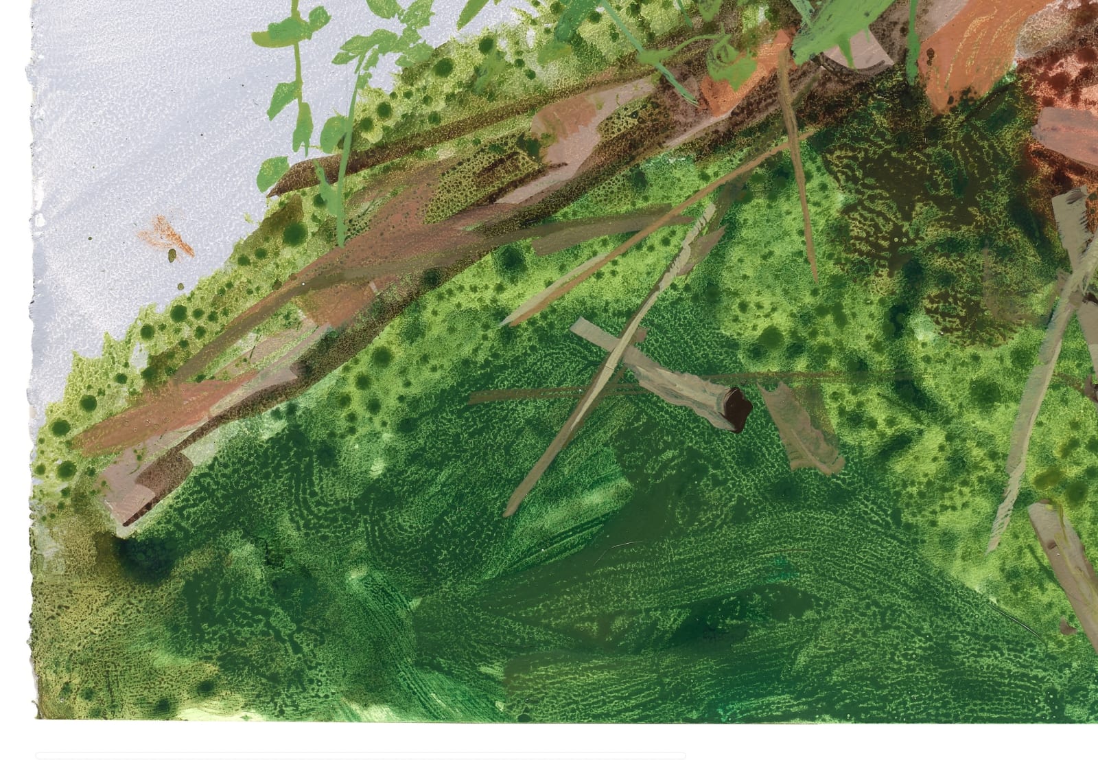 Kristin Musgnug, Study for Venus' Looking Glass, Briar, and Ebony Spleenwort, 2022