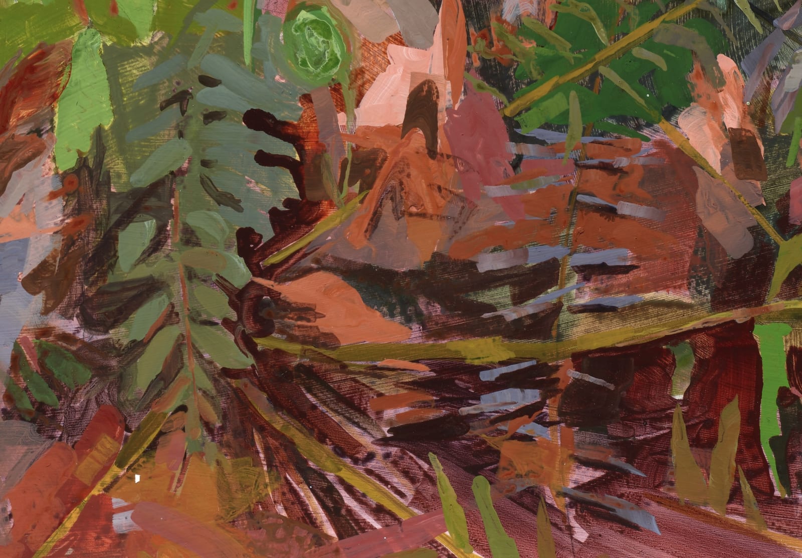 Kristin Musgnug, Study for Emerging Ferns and Spring Beauties, 2022