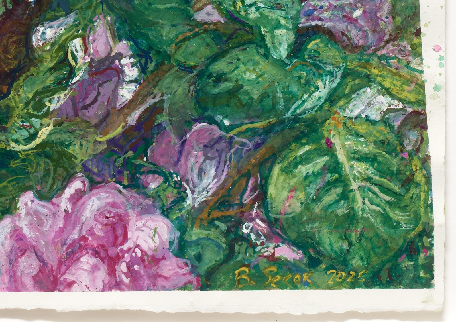 Beth Secor, Roses, Denver, 2025
