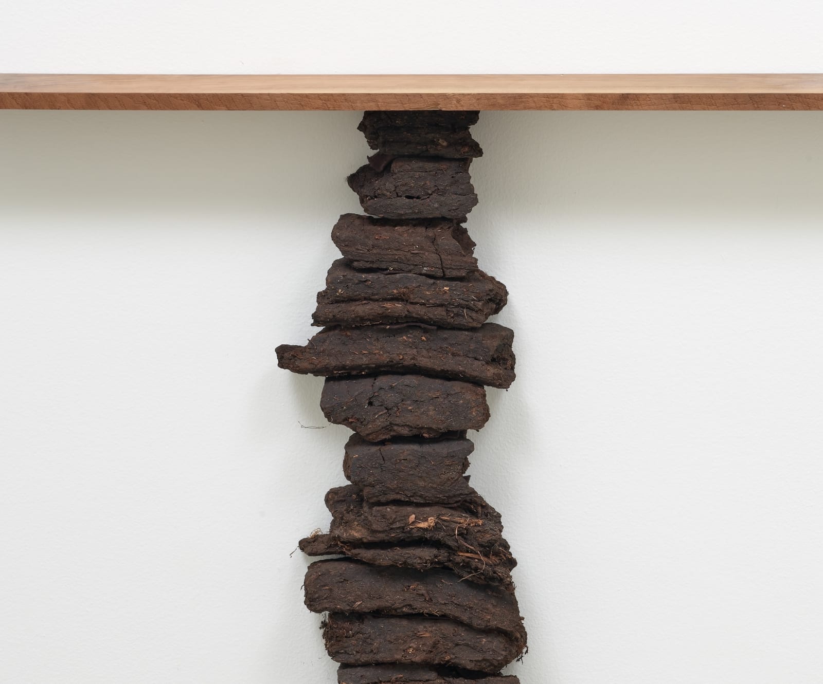 Katrina Moorhead, Finisterre, 2024