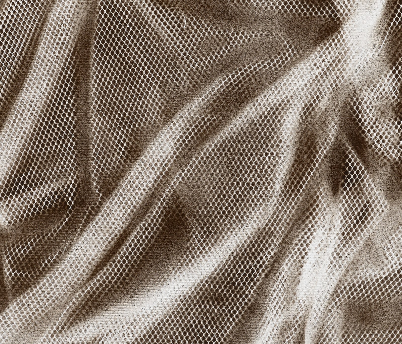 Demetrius Oliver, Untitled, 2025