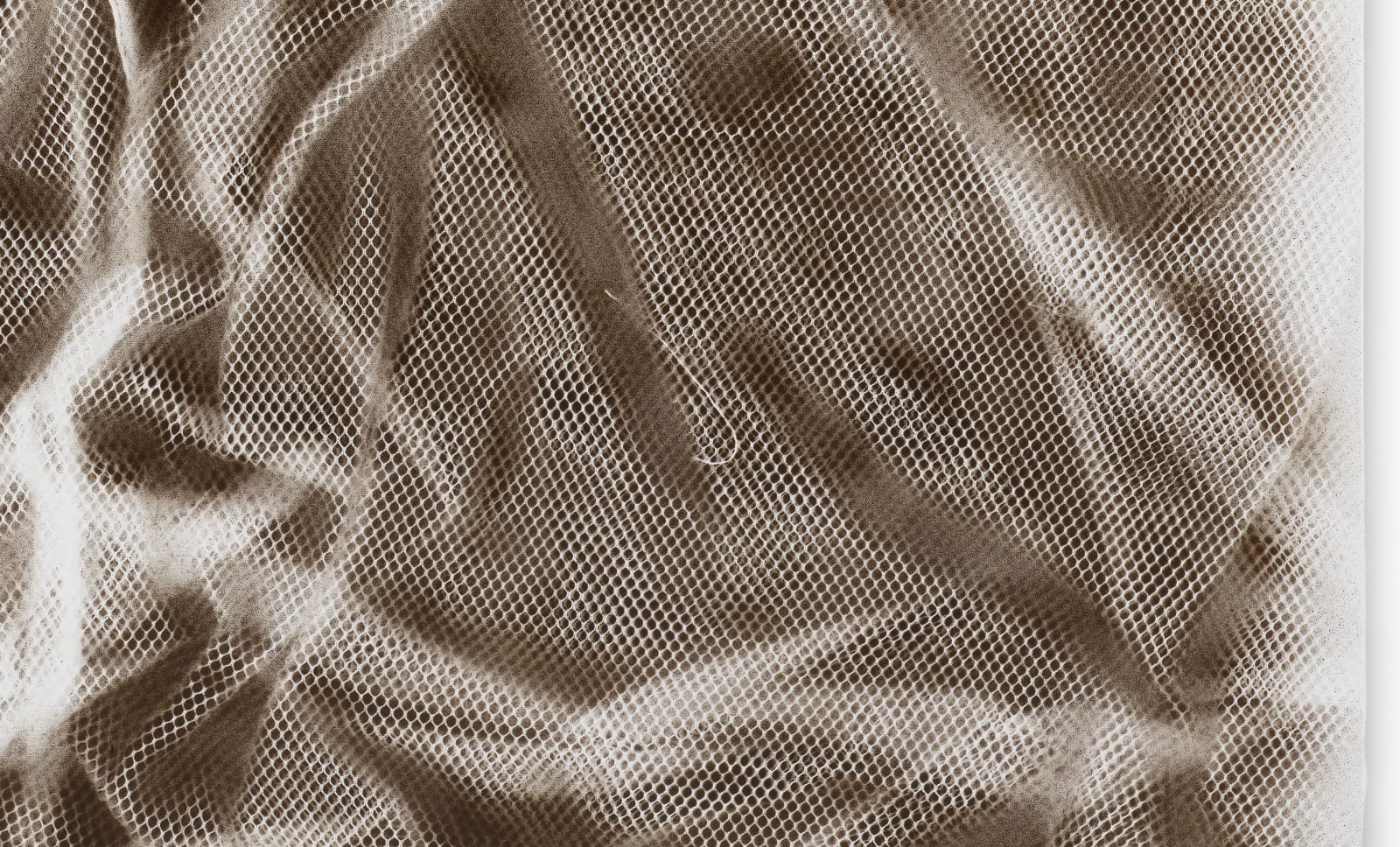 Demetrius Oliver, Untitled, 2025