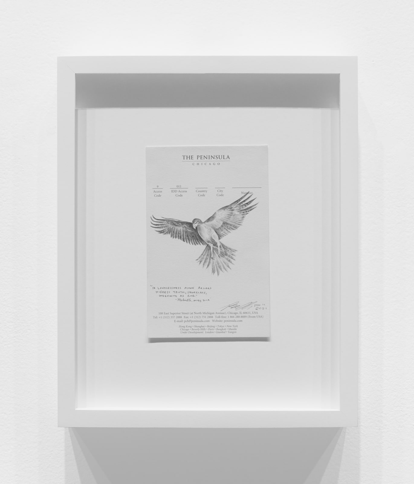 Robyn O'Neil, The Peninsula - Eagle, 2021