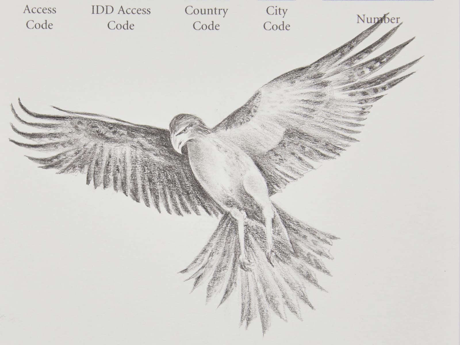 Robyn O'Neil, The Peninsula - Eagle, 2021