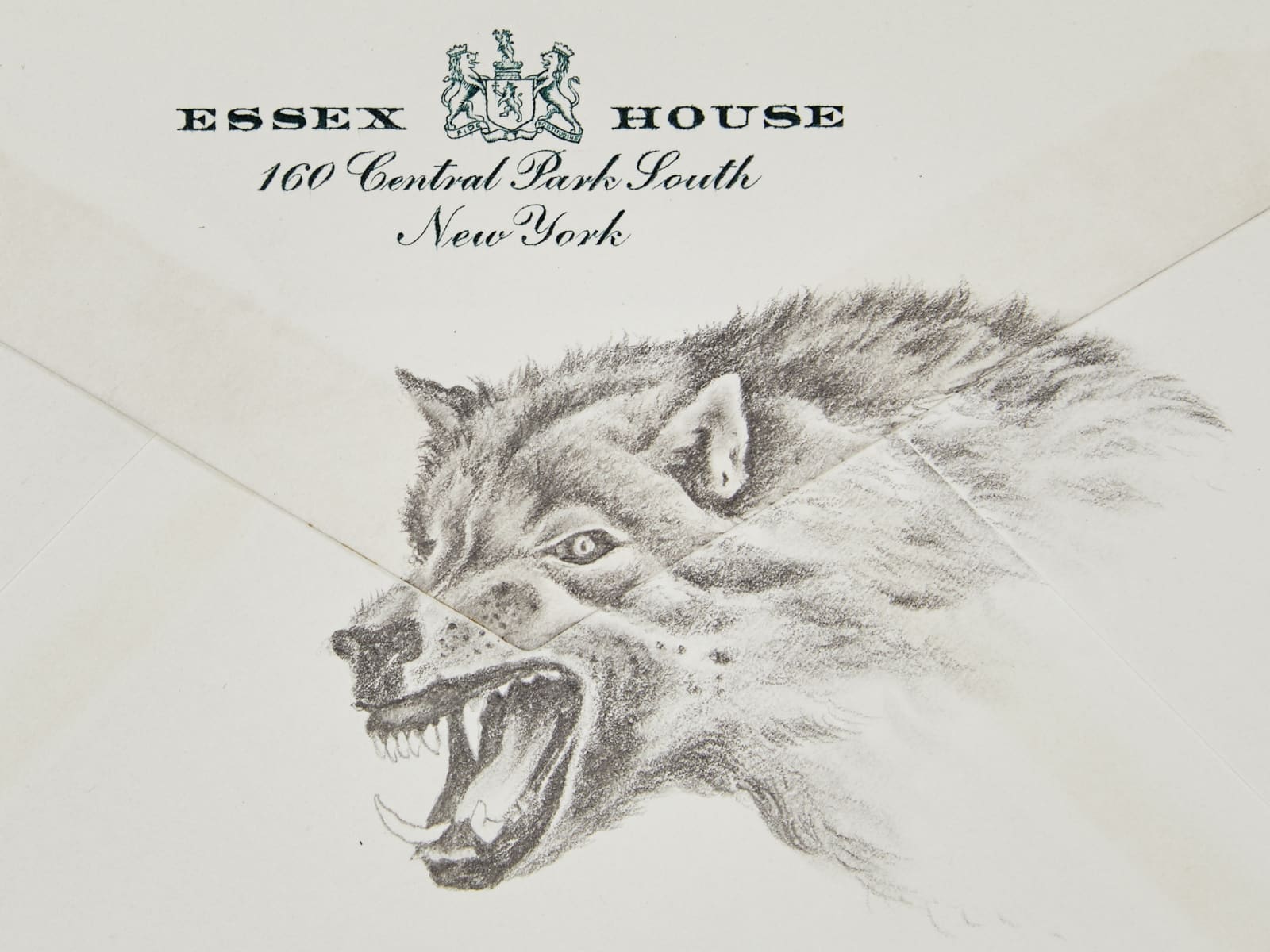 Robyn O'Neil, Essex House - Wolf, 2020