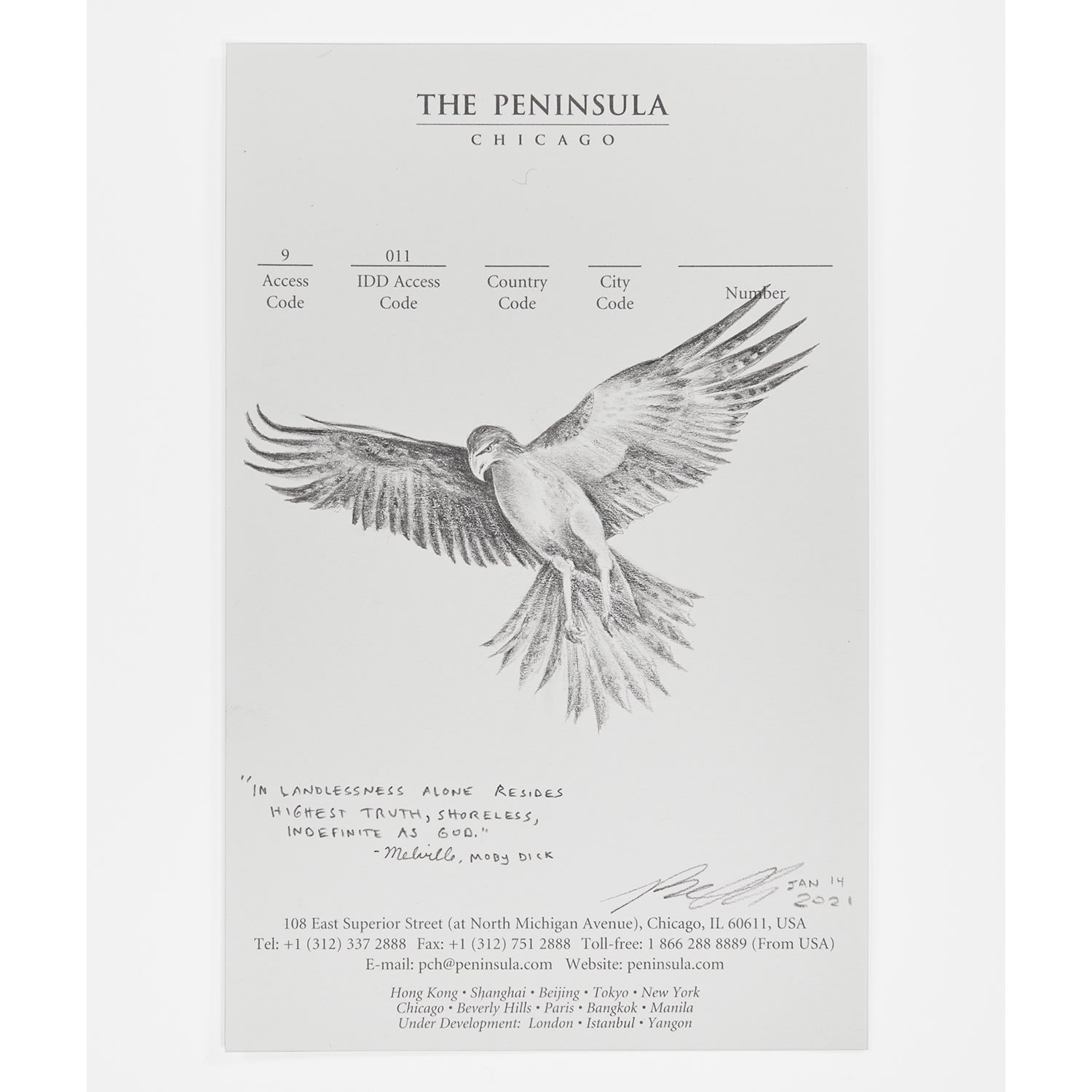 Robyn O'Neil, The Peninsula - Eagle, 2021