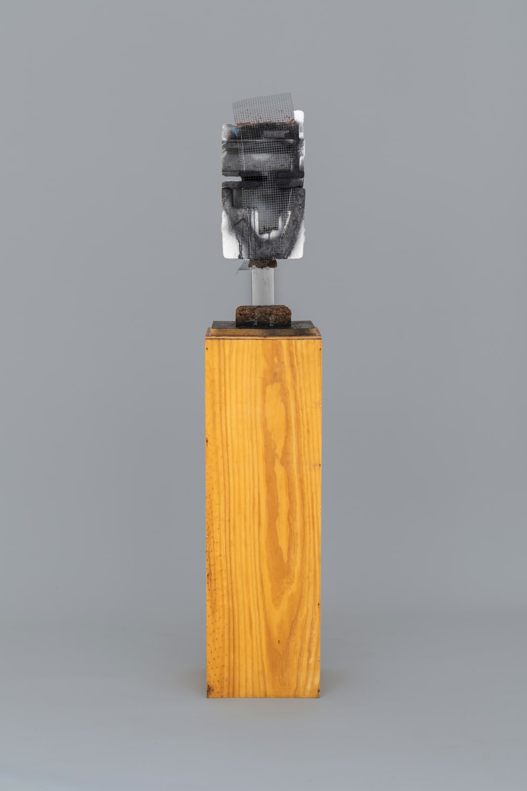 Huma Bhabha, Not About You, 2012