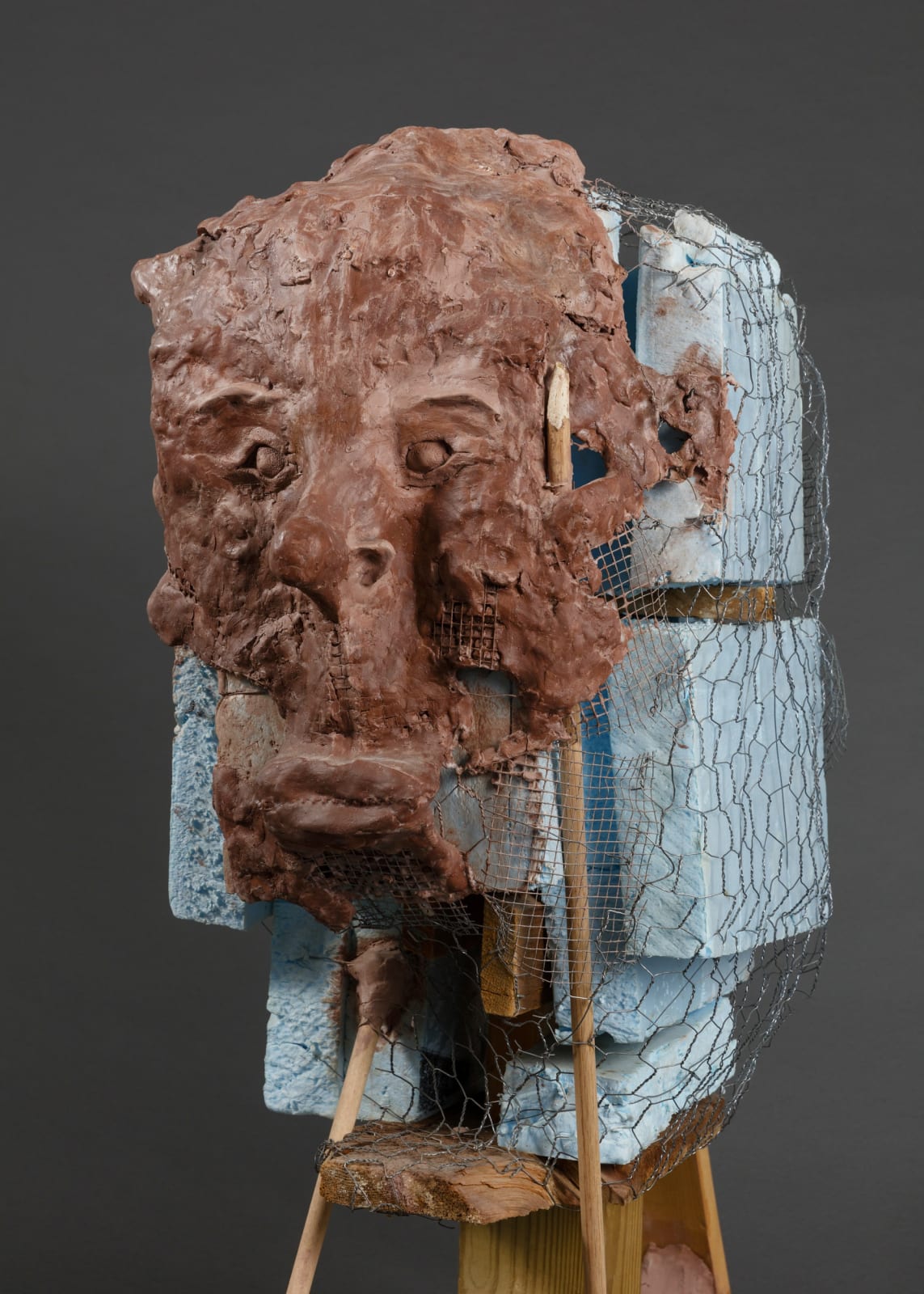 Huma Bhabha, Museum Without Walls, 2005