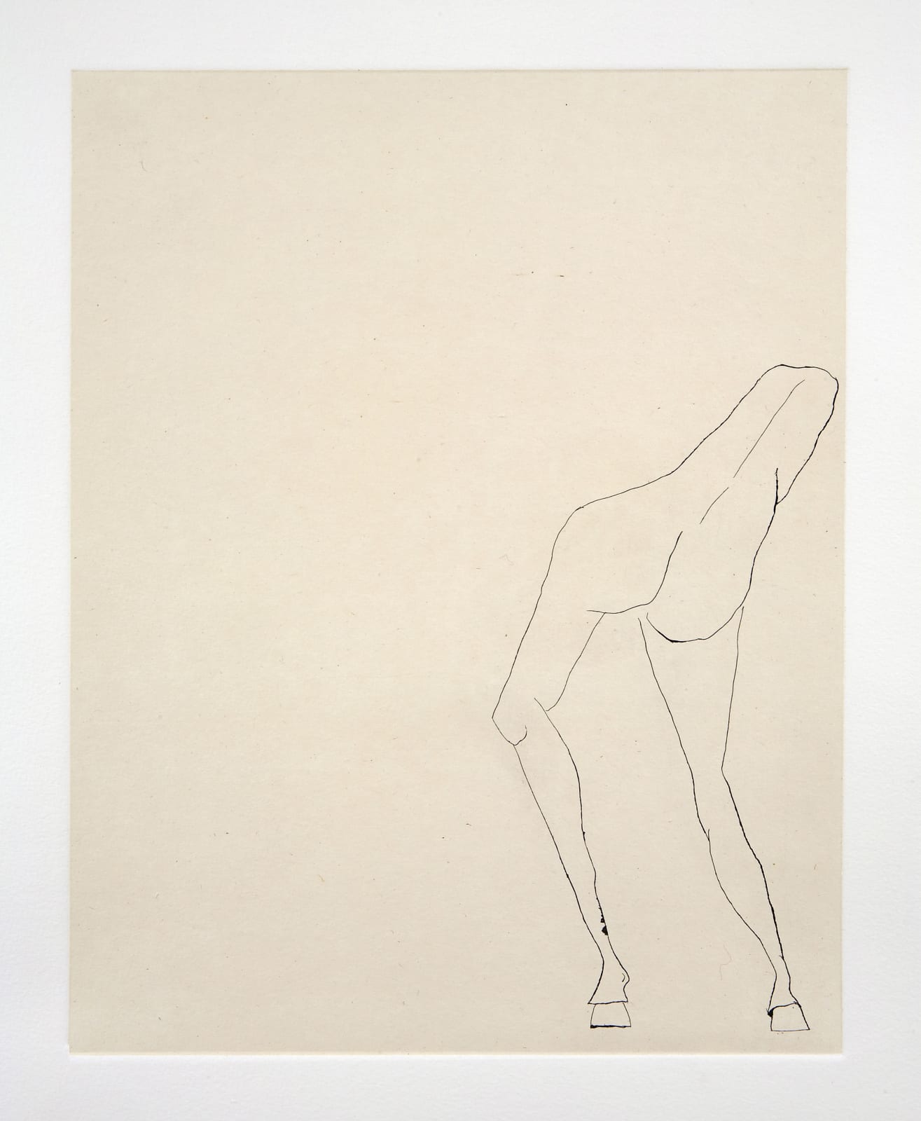 One of several images of a young woman wearing a mask as she slowly turns into a horse