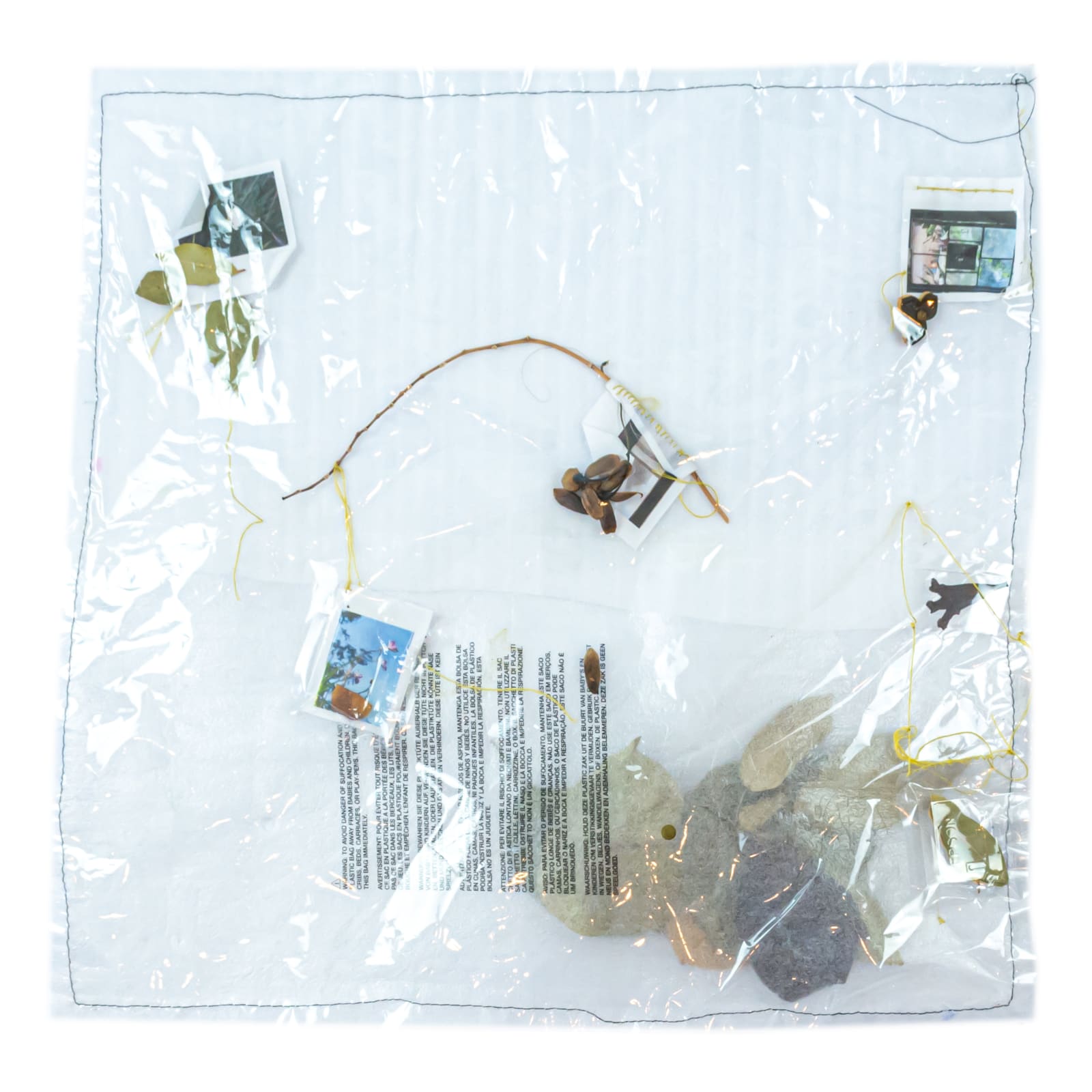 Juliana Torres Diary, 2021 Photos, natural leaves, sticks and flowers applied on wrapping foam and covered with transparent plastic