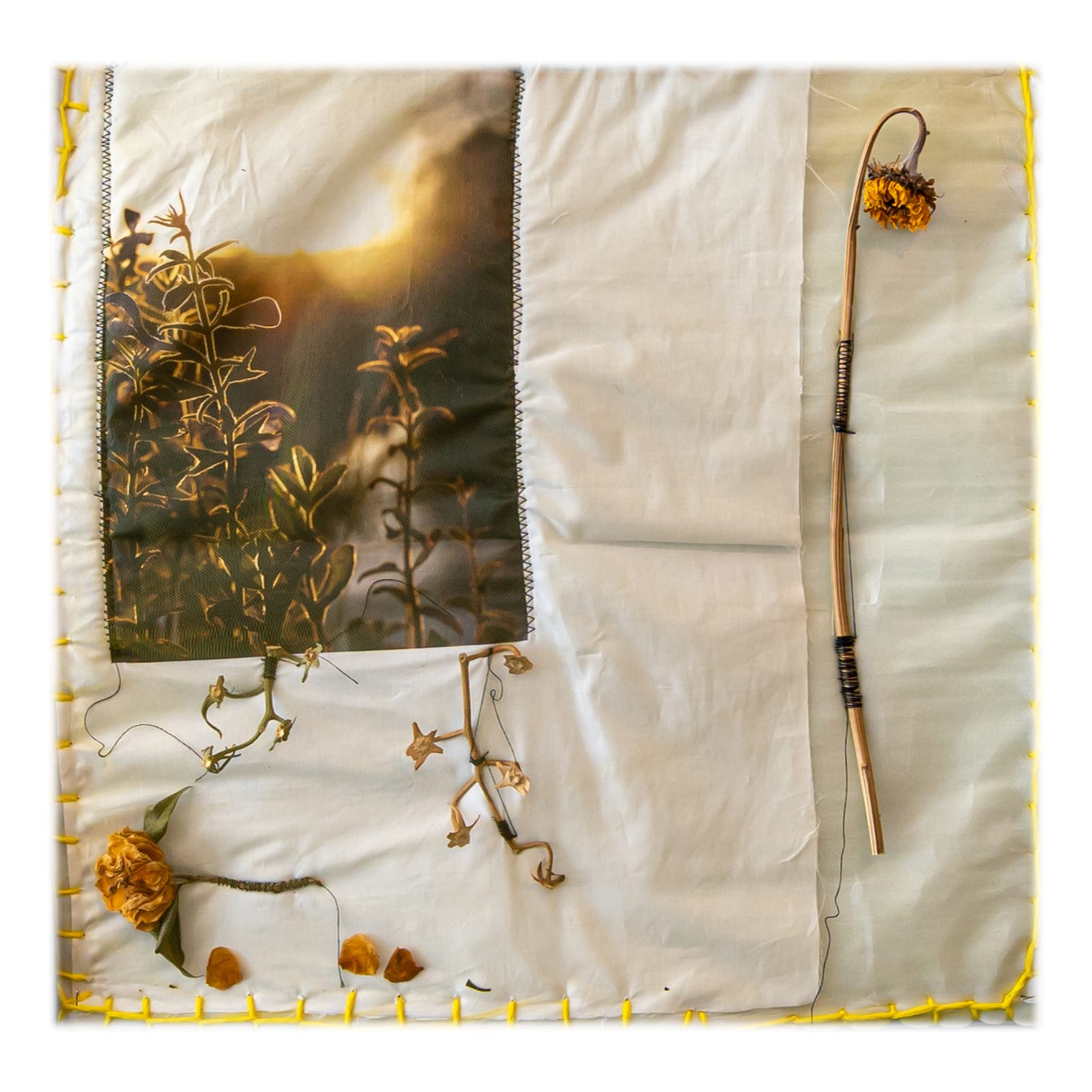 Juliana Torres I Catalog, 2021 Printed photo, natural flowers, sticks and leaves applied on wrapping foam and covered with tulle