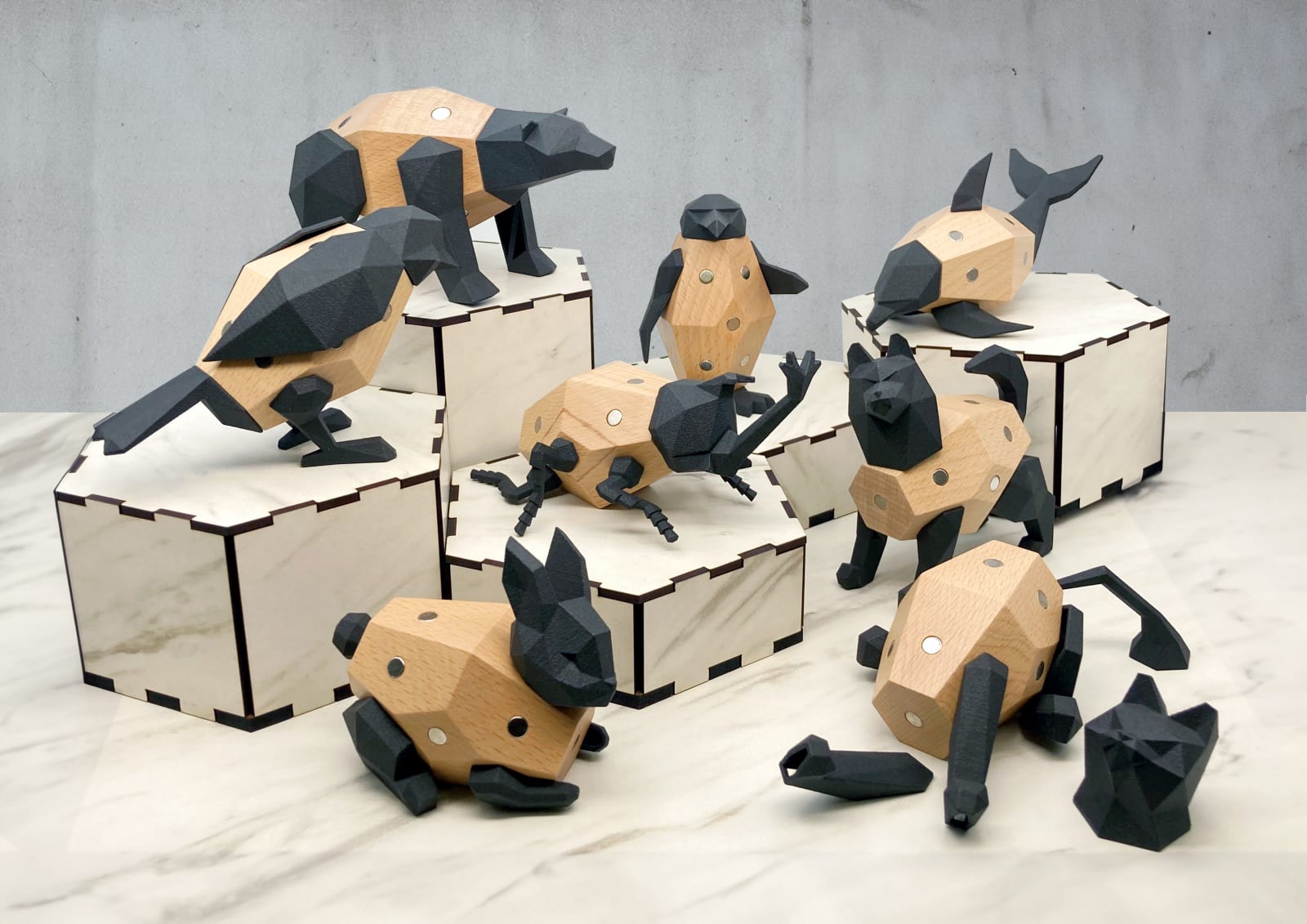 SNAPX, Sapiens Design Limited / Hong Kong
