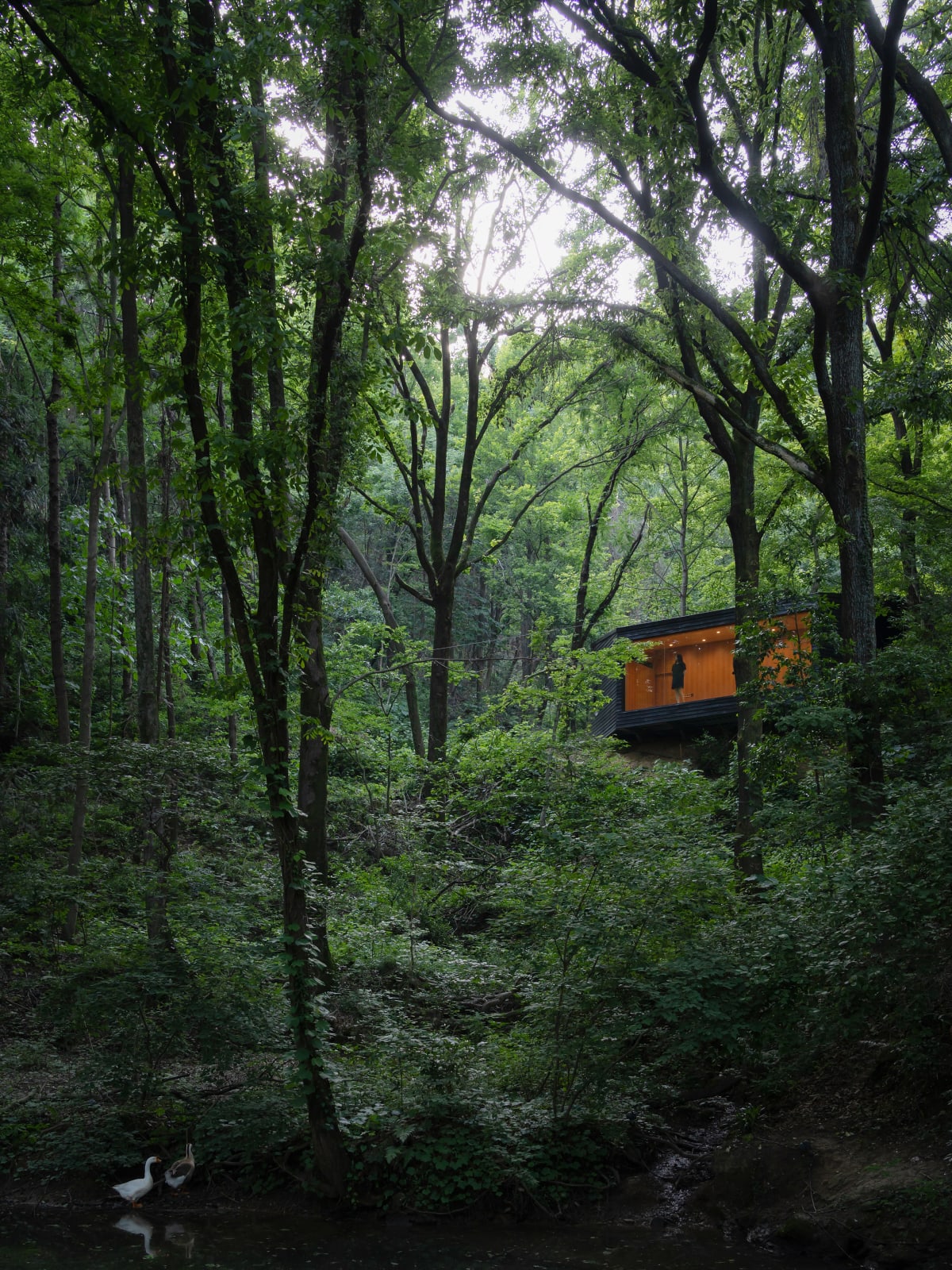 Aquatree Resort Healing Cabin - Deep tranquility / Chinese Mainland, UAO Design / Chinese Mainland