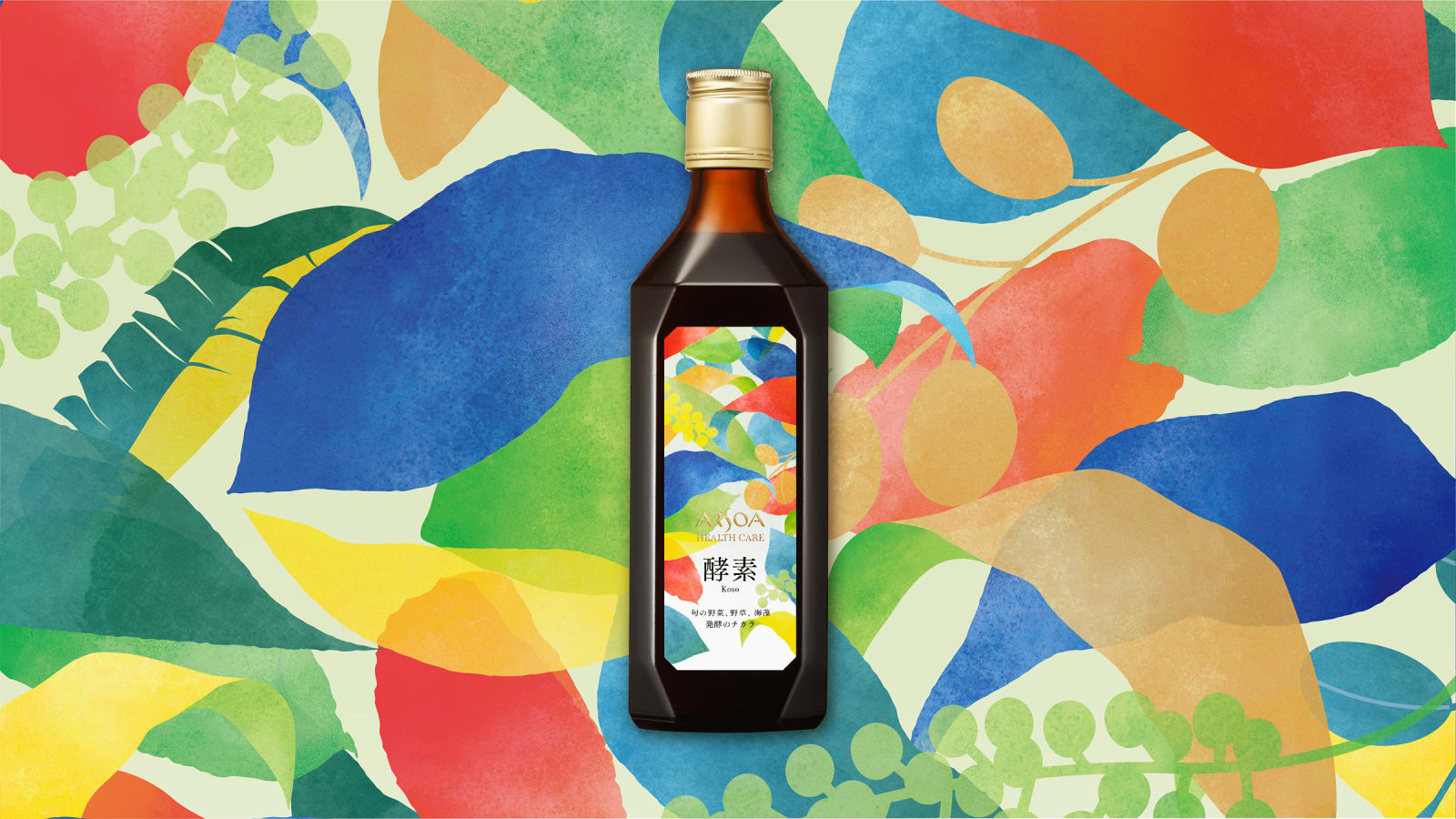 ARSOA HEALTH CARE, canaria inc. / Japan