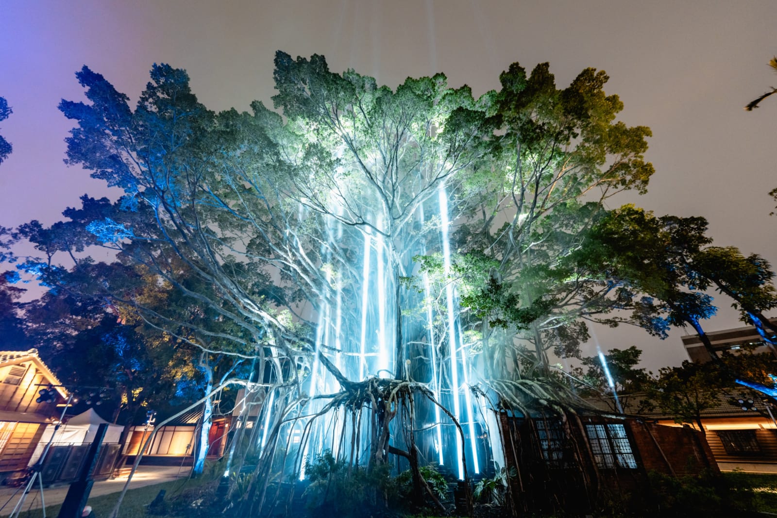 Glow of the Centennial Banyan / Taiwan, FREES DESIGN INTERNATIONAL CO., LTD. / Taiwan