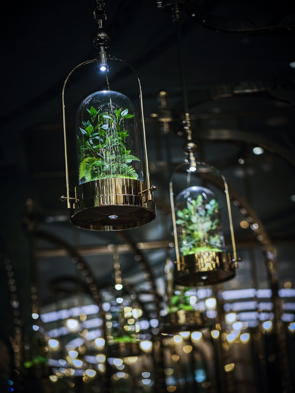 Argo - Four Seasons Hong Kong / Hong Kong, ab concept / Hong Kong