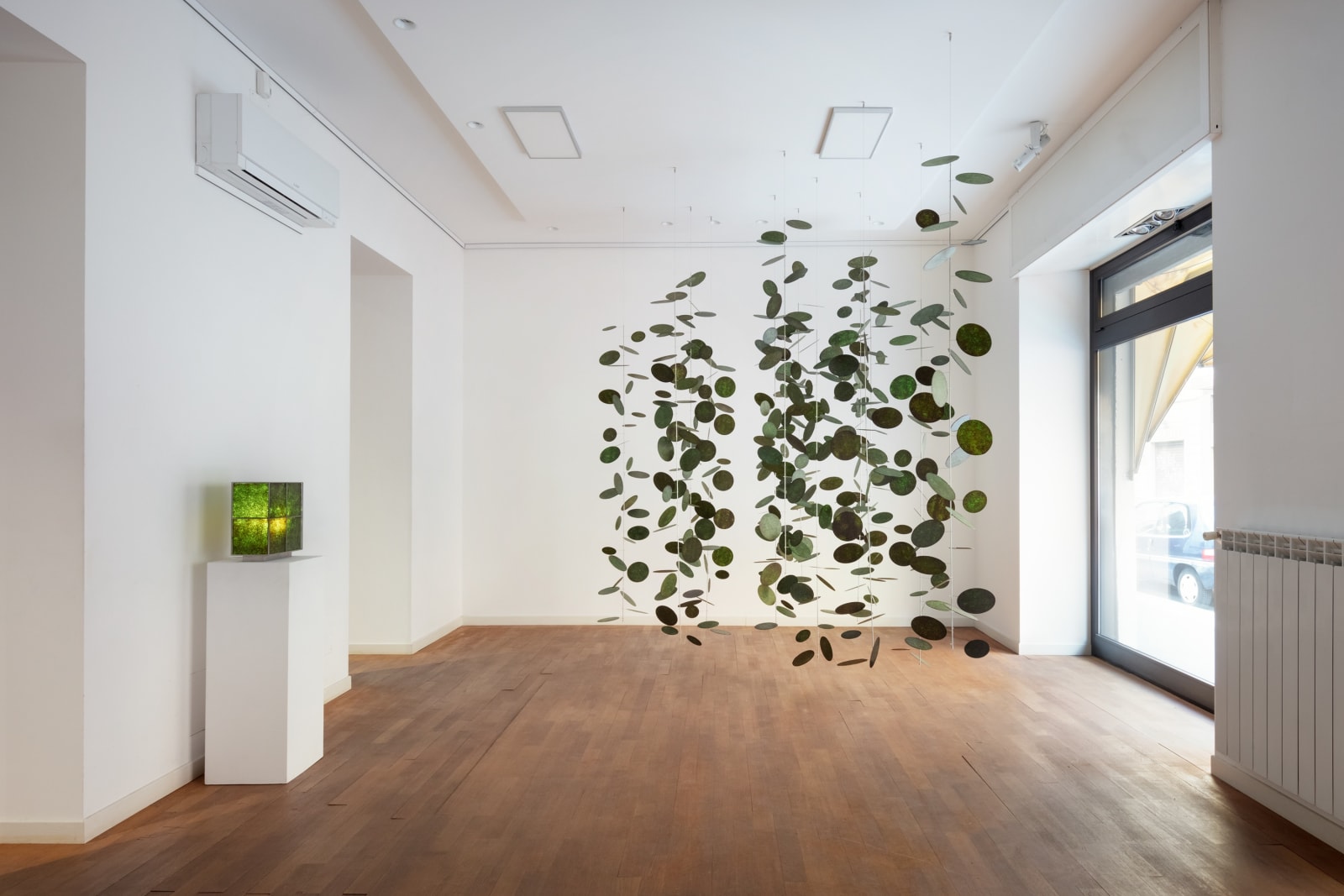 50 GRIPS, Arakawa & Co., Ltd. / STUDIO BYCOLOR Inc. / Japan