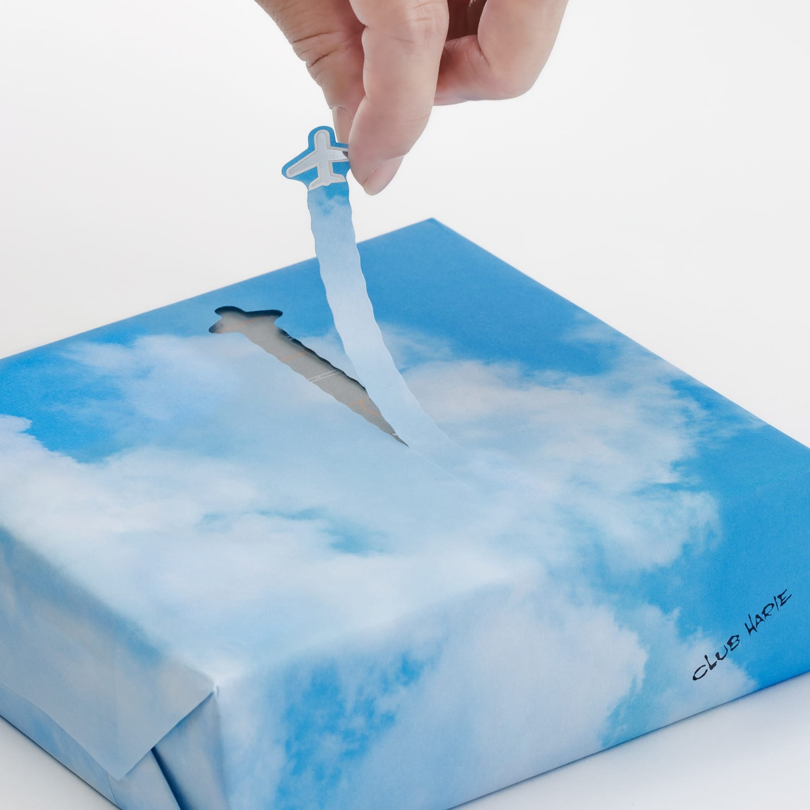 CLUB HARIE Haneda Airport Limited Package, Ono and Associates Inc. / Japan