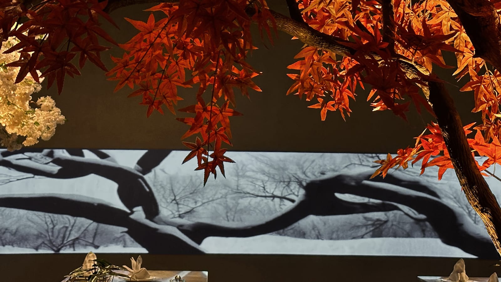 Projection Mapping for CVIEW, Alan Chan Design Company / Hong Kong
