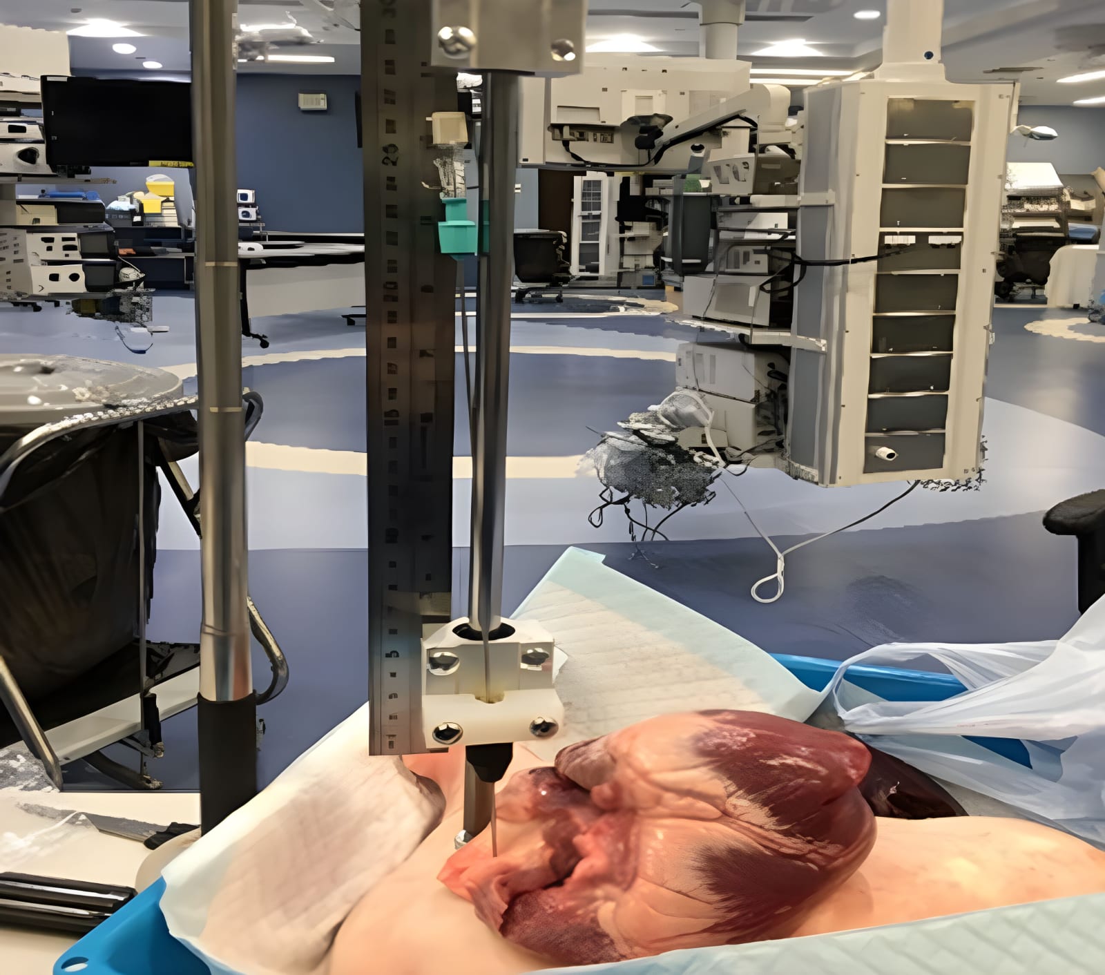 US-visible&Tactile-reality Model for Medicine, Pamela Youde Nethersole Eastern Hospital / Hong Kong