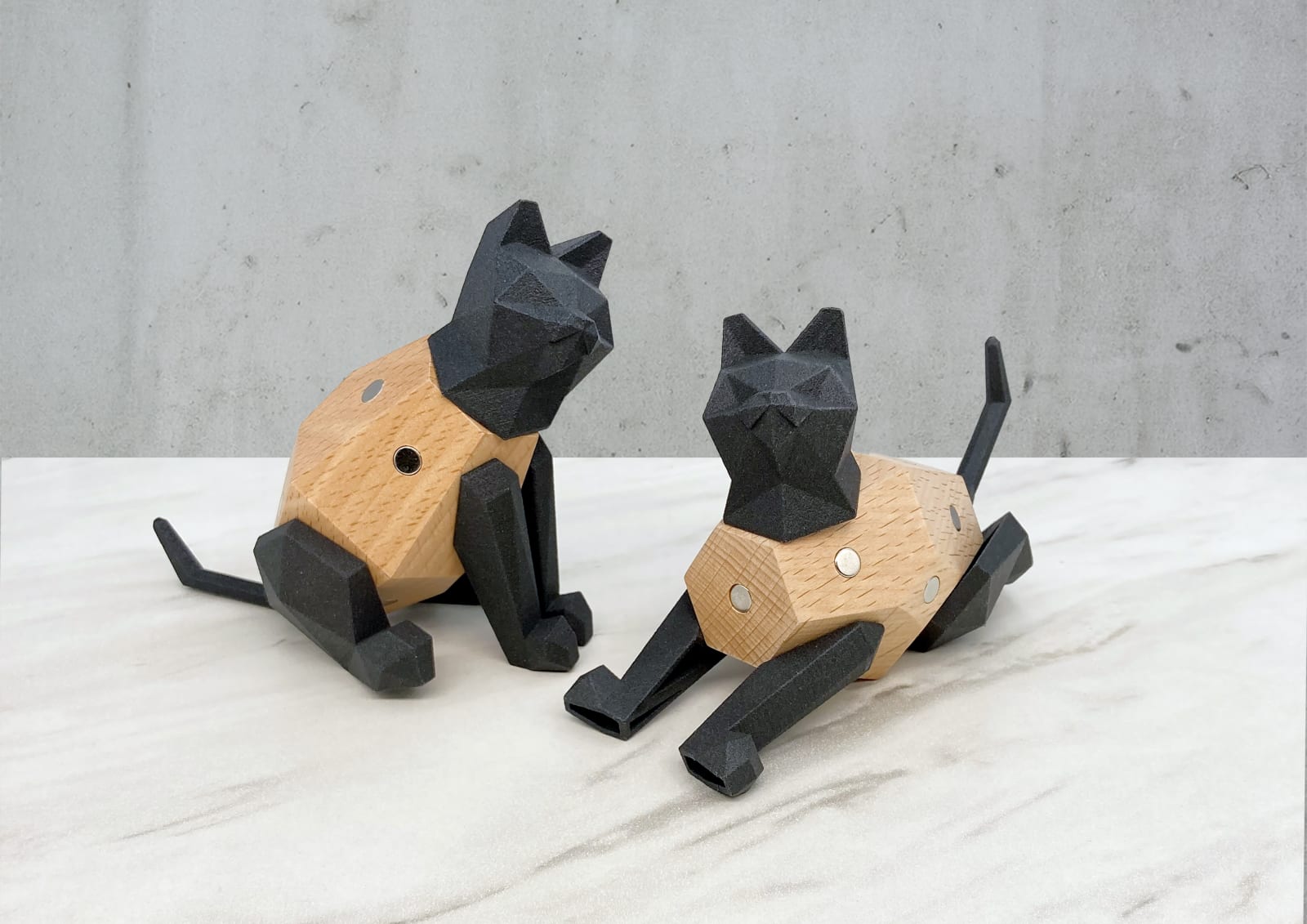 SNAPX, Sapiens Design Limited / Hong Kong